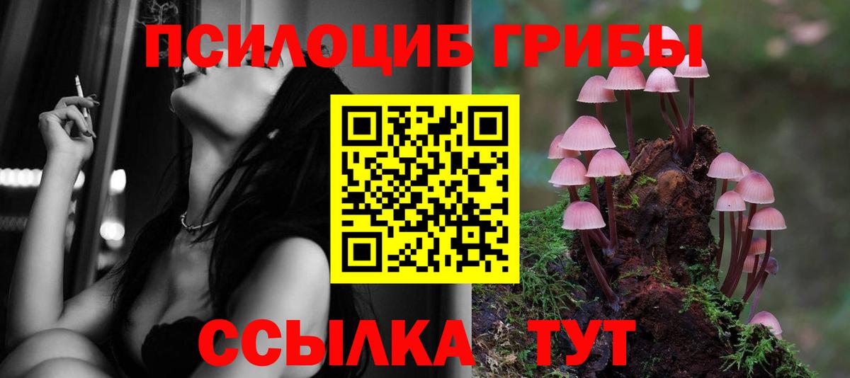 Псилоцибиновые грибы MAGIC MUSHROOMS  Вход с VPN  наркошоп  Сертолово 